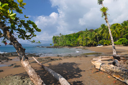 Nationalparks Costa Rica - South Pacific