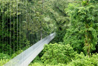 Arenal Hanging Bridges - Hängebrücken