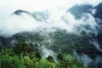 Braulio Carrillo Nationalpark, Costa Rica