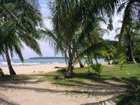 Costa Rica: Puerto Viejo de Limon