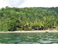 Golfo Dulce, Piedras Blancas Nationalpark - Costa Rica