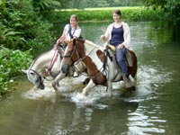 Costa Rica - Sarapiqui, Reiten Hacienda Pozo Azul