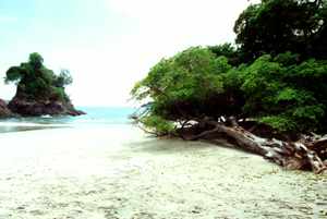 Costa Rica - Manuel Antonio Strand