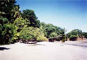 Costa Rica: Punta Leona Strand