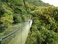 Skywalk Monteverde, Costa Rica