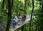 H&auml;ngebr&uuml;cken Vulkan Arenal - Arenalsee, Costa Rica