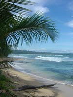 Costa Rica: Cahuita