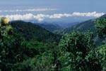Cerro de la Muerte, Costa Rica