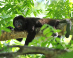 Rincon de la Vieja, Guanacaste, Rundreise Costa Rica