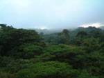 Costa Rica: Monteverde