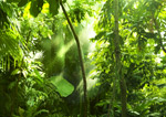 Monteverde, Rundreise Costa Rica