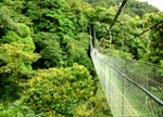 Costa Rica: Monteverde Nebelwald - Skywalk