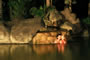 Sonderangebote Hotels Arenal Volcano / La Fortuna: Arenal Nayara