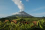 Sonderangebote Hotels Arenal Volcano / La Fortuna: Arenal Nayara