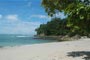 Sonderangebote Hotels Manuel Antonio: Arenas del Mar