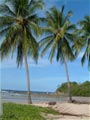 Playa Nosara, Costa Rica - Sonderangebot Mietwagenreise