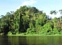 Sonderangebote Hotels: Tortuguero National Park