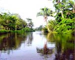 Caño Negro, Costa Rica