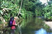 Nationalpark Corcovado