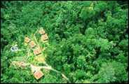 Costa Rica: Esquinas Regenwald