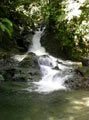 Esquinas Regenwald der Österreicher