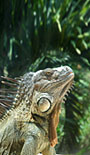 Costa Rica Budget Rundreise - Sonderangebot Nebensaison