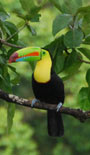 Costa Rica - Mein Paradies - Zubucherreise