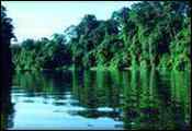 Costa Rica: Laguna Lodge, Tortuguero