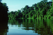 Tortuguero, Costa Rica