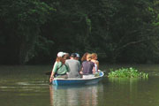 Costa Rica: Nationalpark Tortuguero