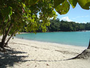 Costa Rica Strandhotels - Manuel Antonio Nationalpark