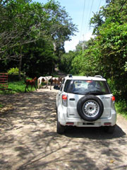 Costa Rica Open Voucher - Flexi Drive - Wheels & Vouchers FLEX