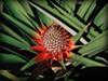 Costa Rica Nationalparks - Nordregion