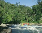 Wildwasser Rafting Pacuare, Costa Rica