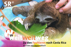 Faultiere Costa Rica - Familien Reise