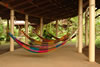 Pachira Lodge: Hammocks