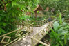 Pachira Lodge